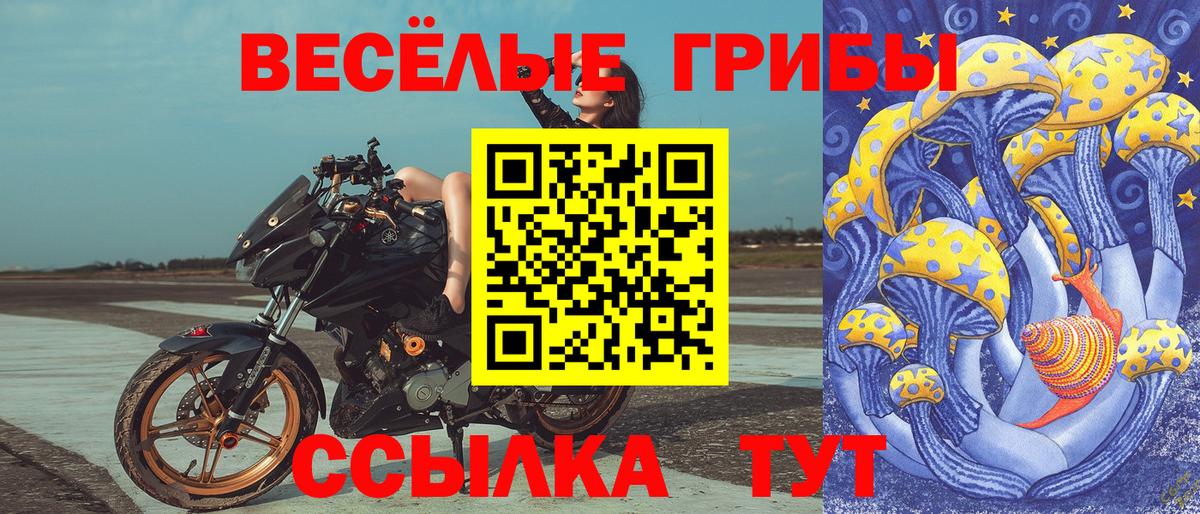 Псилоцибиновые грибы прущие грибы Арзамас