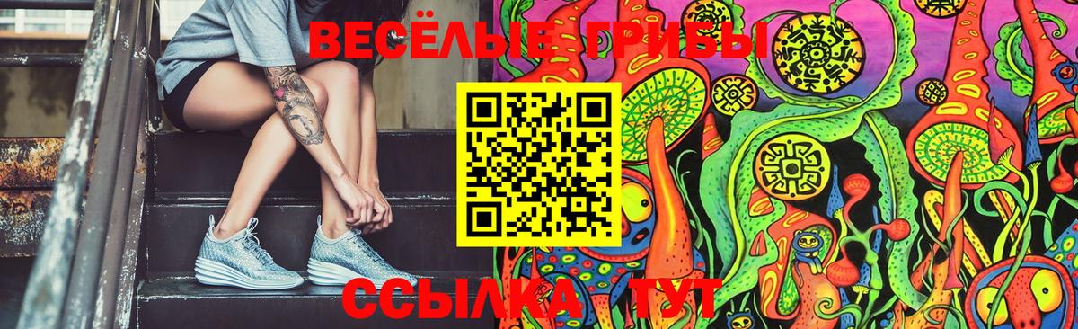 закладки  Вход с VPN  Арзамас  Галлюциногенные грибы Psilocybine cubensis 